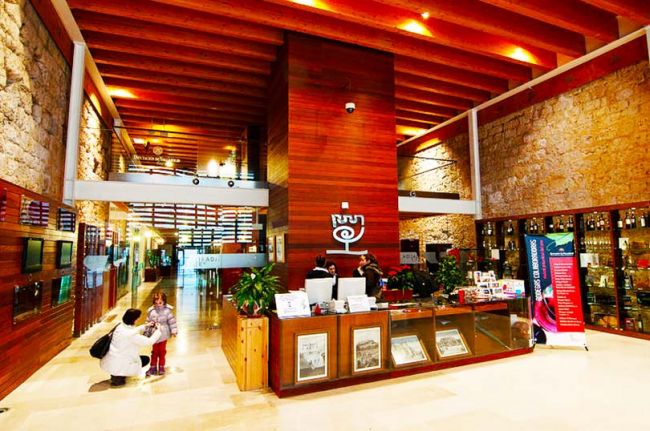 museodelvino01de penafiel.jpg